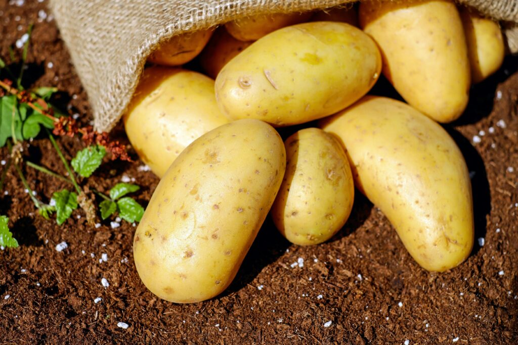 potatoes for sale
